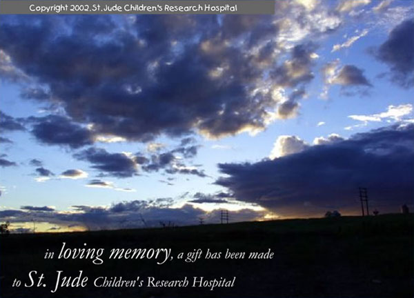 In loving memory, a gift has been made to St. Jude Children's Research Hospital