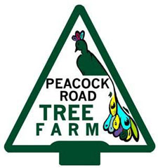 Peacock Road Tree Farm