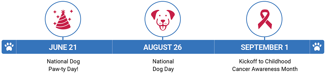 Dog days of summer timeline