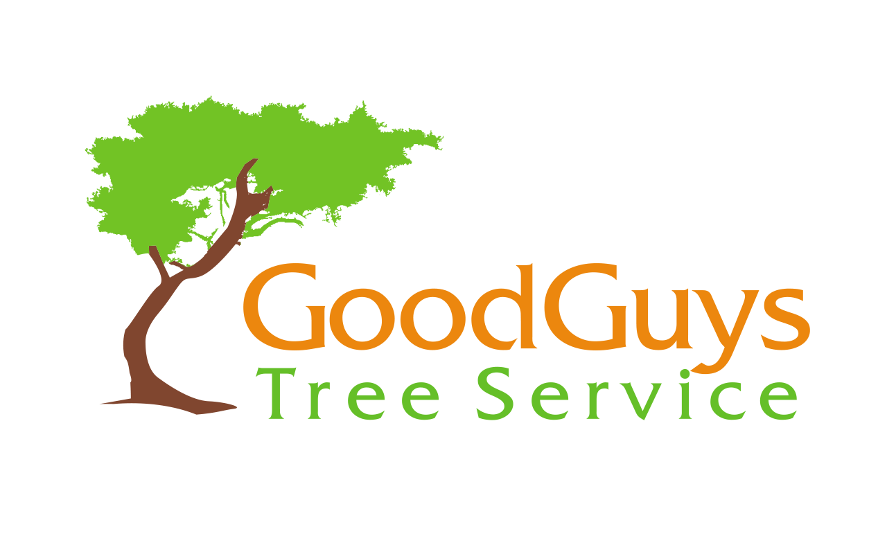 2Good Guys Tree Service