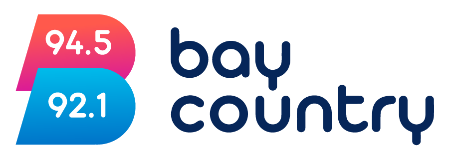 Media Partner
