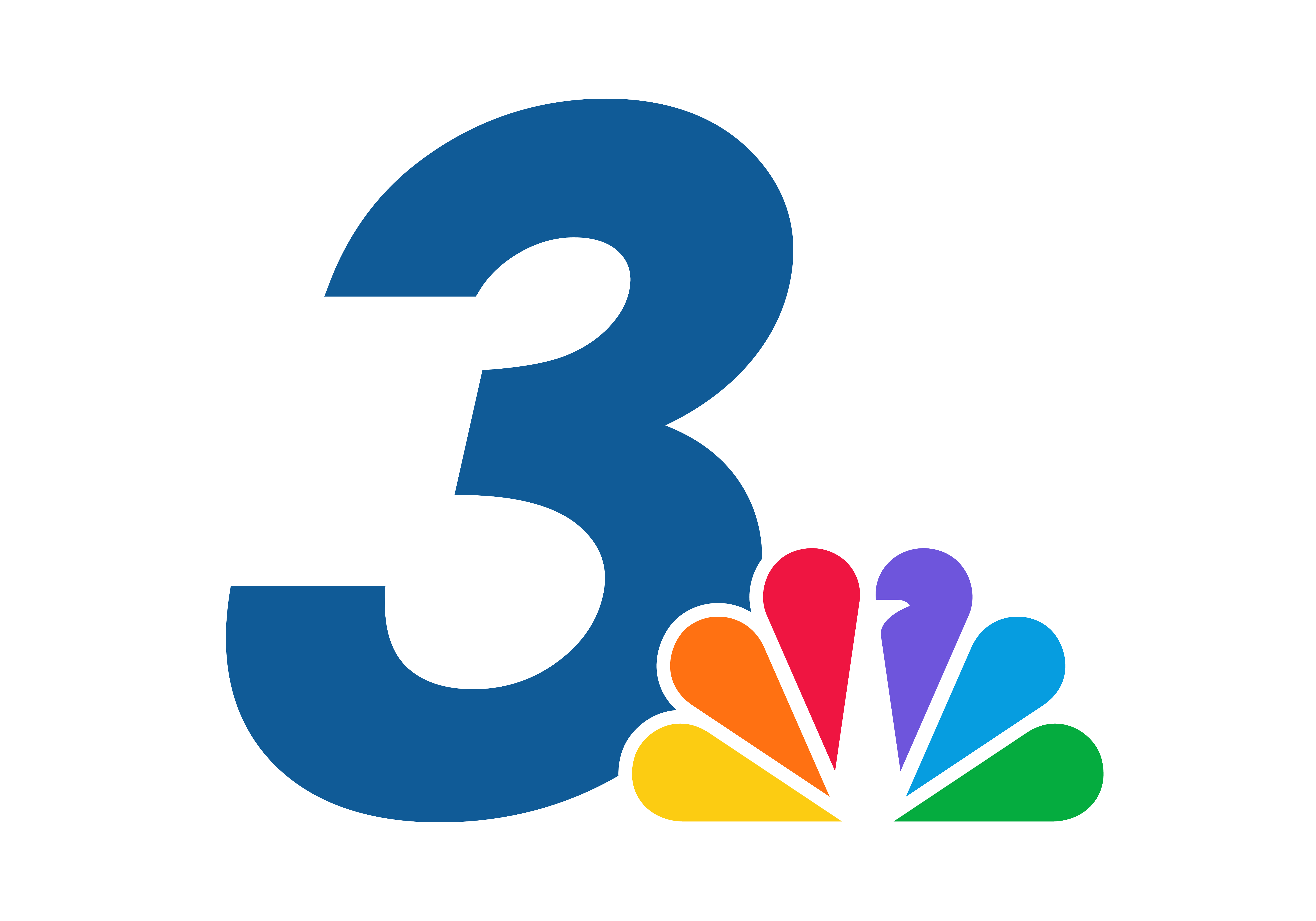 Media Partner