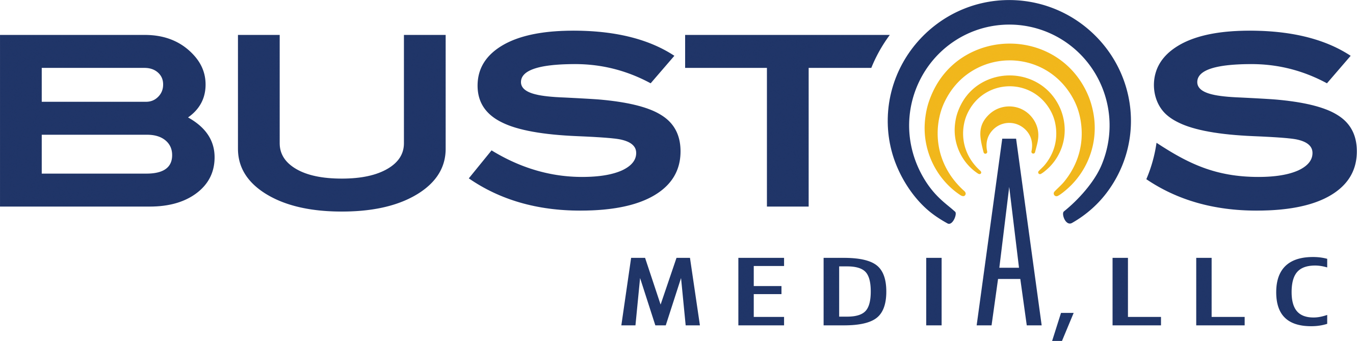 Media Partner