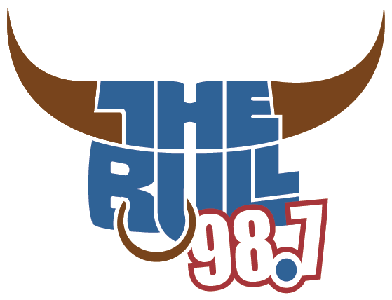 Media Partner