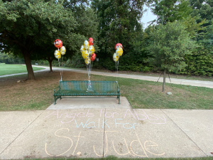 Personal fundraising photo