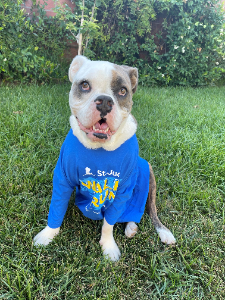 Personal fundraising photo