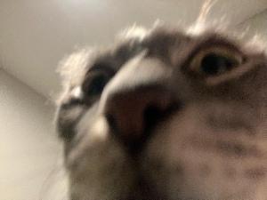 Personal fundraising photo