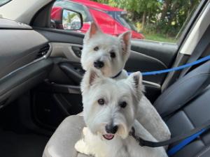 Personal fundraising photo