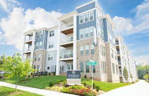 Personal fundraising photo