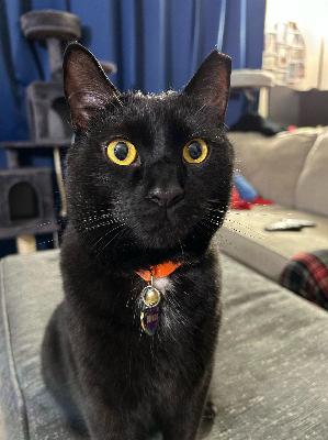 Personal fundraising photo