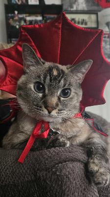 Personal fundraising photo