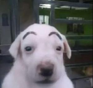 Personal fundraising photo