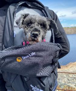 Personal fundraising photo