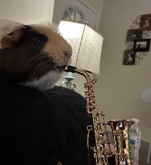 Personal fundraising photo