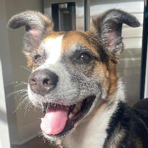 Personal fundraising photo