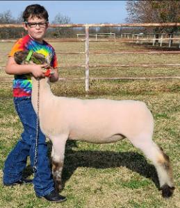 Personal fundraising photo