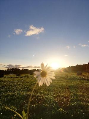 Personal fundraising photo