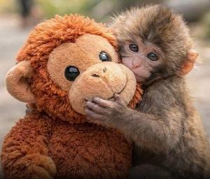 Personal fundraising photo