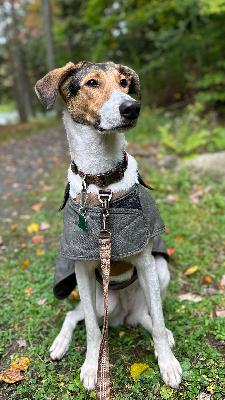 Personal fundraising photo