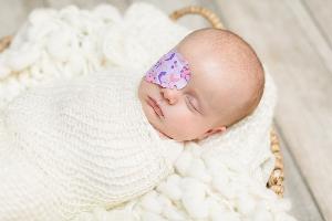 Daphne, 6 weeks old, Intraocular medulloepithelioma